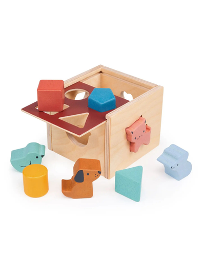 Bambino Shape Sorting Cube
