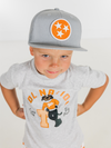 Grey Tri Star Snap Back