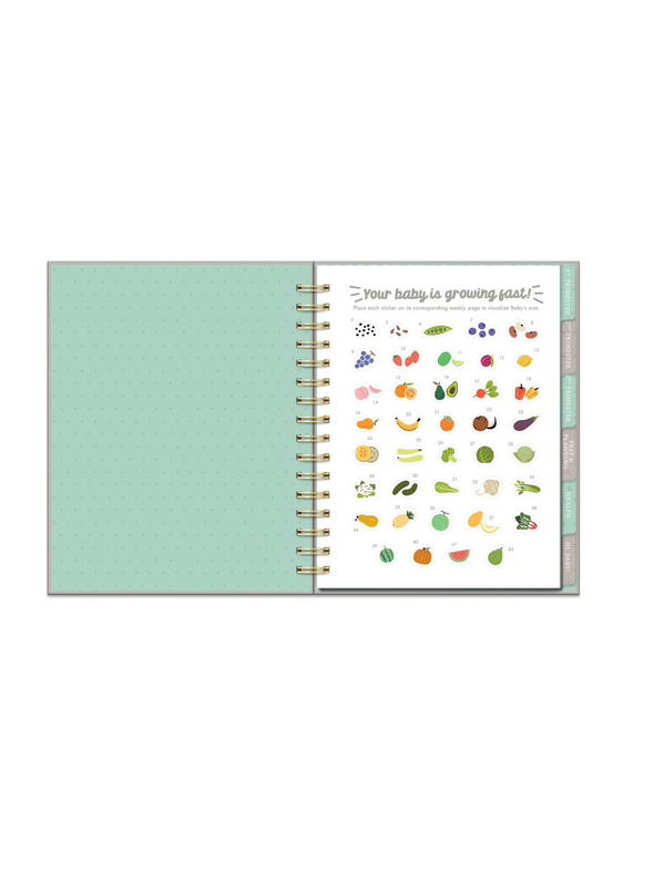 Countdown To Baby Pregnancy Planner