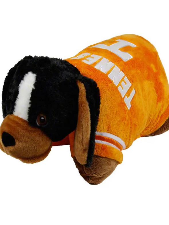 Smokey Pillow Pet