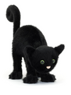 Spookipaws Cat