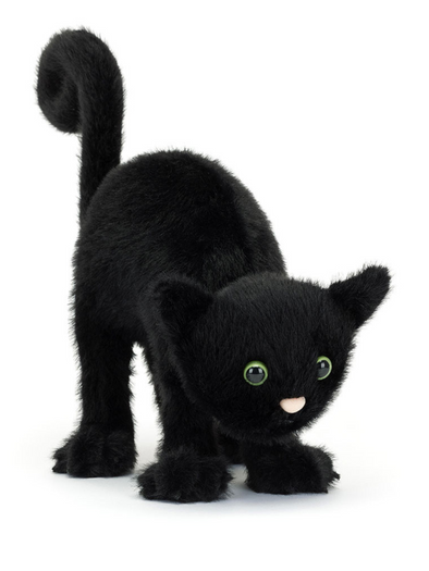 Spookipaws Cat