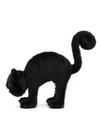 Spookipaws Cat