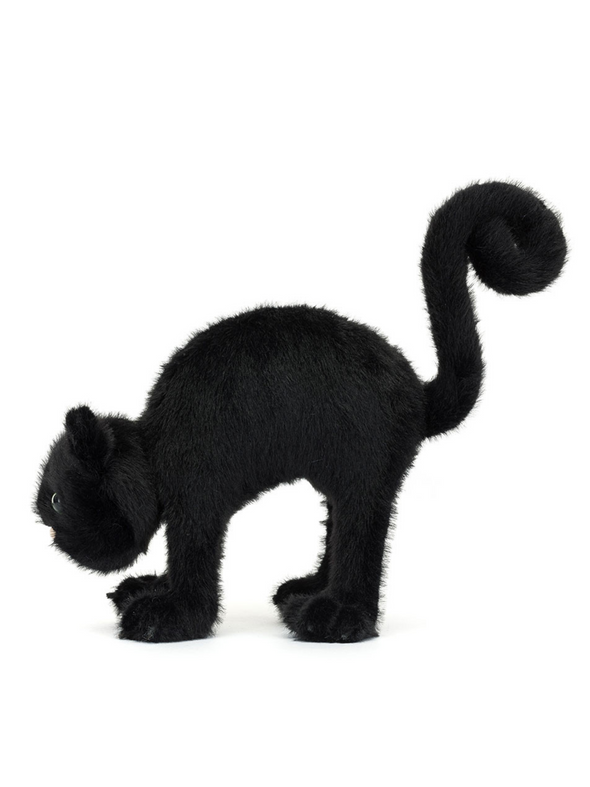 Spookipaws Cat