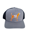 Tri-Star Hound Dog Grey Black Snap Back