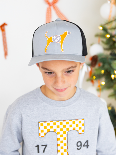 Tri-Star Hound Dog Grey Black Snap Back