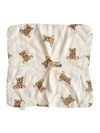 Teddy Bear Pacifier Blanket Holder