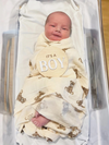 Teddy Bear Swaddle Baby Blanket
