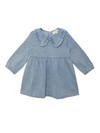 Denim Days Dress