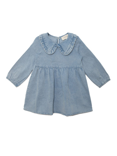Denim Days Dress