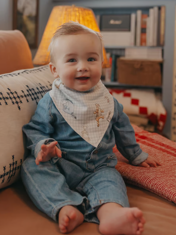 Copper Pearl Hundred Acre Wood Bandana Bibs