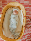 Copper Pearl Winnie + Friends Swaddle Blanket