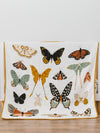 Butterfly Collector Quilt