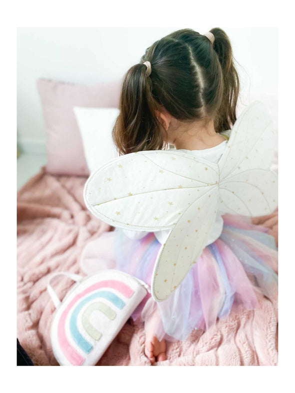 Fairy Wings Dress Up Set